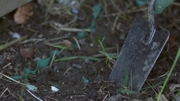 Gardener Digging Hole Soil Planting Close Zoom Slow Motion Selective — Stock Video