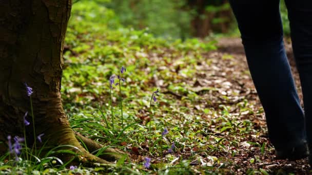 女キープフィット走りで緑豊かなブルーベル森林中出しスローモーションショット4K選択的フォーカス — ストック動画