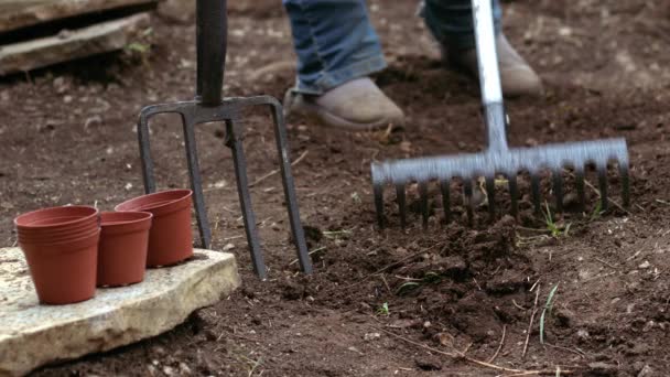 Jardineiro Preparando Solo Com Ancinho Para Plantas Crescimento Médio Câmera — Vídeo de Stock