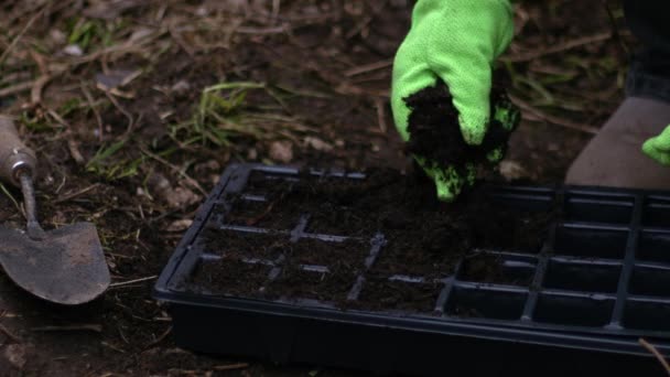 Propagador Enchimento Jardineiro Com Solo Para Plantio Médio Tiro Foco — Vídeo de Stock