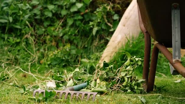 花园中带有生锈的旧手推车的草坪耙中弹出选择性焦点 — 图库视频影像