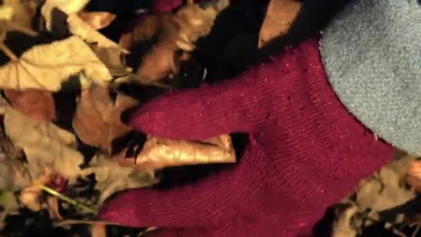 Χέρι Παίζει Αποξηραμένα Φθινόπωρο Αφήνει Μέτρια Αργή Κίνηση Zoom Shot — Αρχείο Βίντεο
