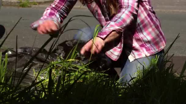 정원에서 잡초를 낭비하고 속으로 천천히 선택적 초점을 맞추는 — 비디오
