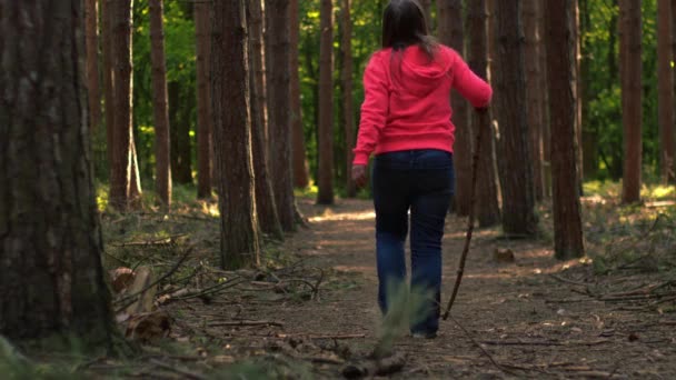 女人喜欢在松林树冠上散步宽拍4K慢动作选择性焦距 — 图库视频影像
