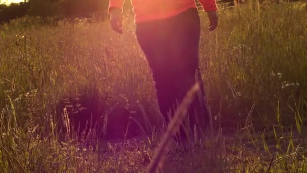 Vrouw Wandelen Zomer Weide Bij Zonsondergang Medium Schot Slow Motion — Stockvideo