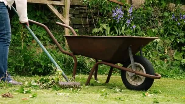 Woman Raking Lawn Wheelbarrow Garden Wide Zoom Slow Motion Selective — Stock Video