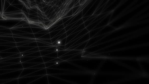 Grille Géométrique Noir Blanc Eeeri Dans Espace Tridimensionnel Animation Concept — Video