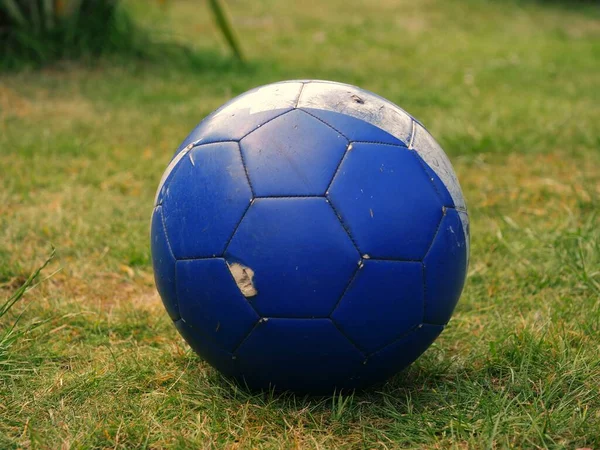 Fútbol Azul Ley Hierba Cerca Tiro Enfoque Selectivo —  Fotos de Stock