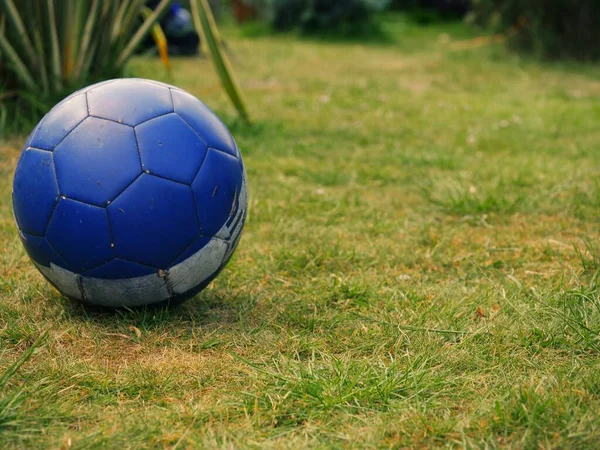 芝生の法律の中で青いサッカーショット選択的フォーカス — ストック写真