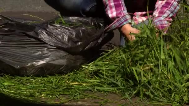 잔디와 잡초를 낭비하는 정원을 청소하고 속으로 동작을 선택적으로 확대하는 여성들 — 비디오