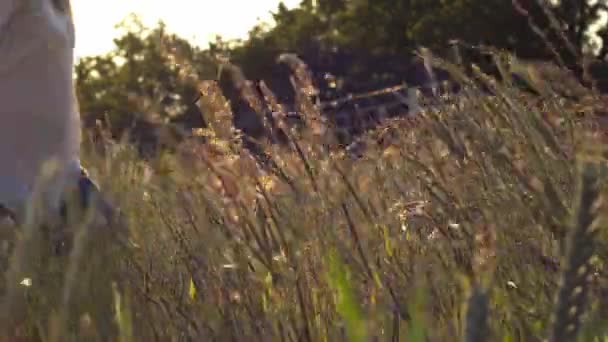 Woman Relaxing Bright Tall Grass Meadow Slow Motion Medium Shot — Stock Video