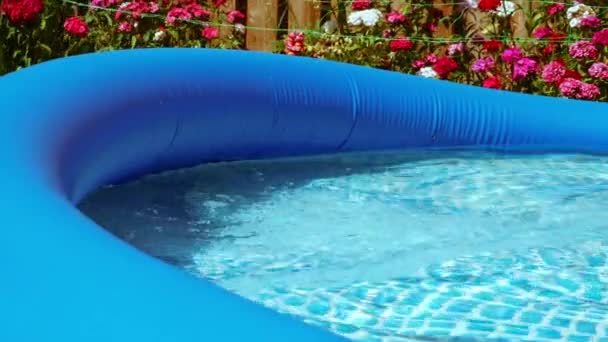 庭园中的平坦式家庭游泳池 中4K慢动作选择性聚焦 — 图库视频影像