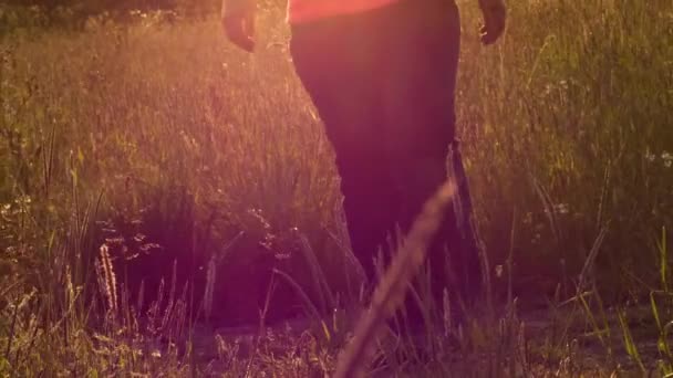 Mujer Caminando Prado Verano Atardecer Tiro Medio Cámara Lenta Zoom — Vídeos de Stock