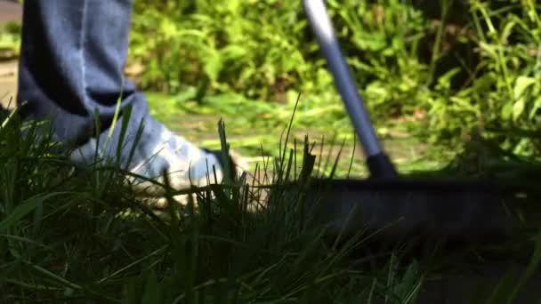 Γυναίκα Σκούπισμα Γρασίδι Και Ζιζάνια Στον Κήπο Μονοπάτι Μέσο Ζουμ — Αρχείο Βίντεο