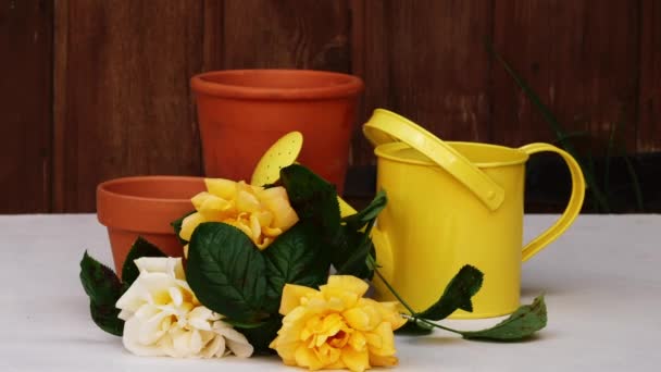 Κίτρινο Ποτιστήρι Και Τριαντάφυλλα Φόντο Μεσαίο Zoom Dolly Shot Επιλεκτική — Αρχείο Βίντεο