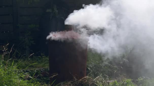 Trädgård Och Hus Sopförbränning Bin Förbränningsugn Vid Skott Slow Motion — Stockvideo
