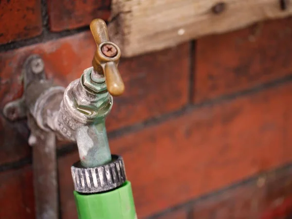 Çürük musluk bir bahçede sızdırıyor. Yakın çekim, seçici odak noktası.