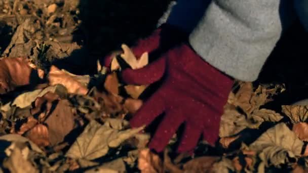 Χέρι Παίζει Αποξηραμένα Φθινόπωρο Αφήνει Μέτρια Αργή Κίνηση Zoom Shot — Αρχείο Βίντεο