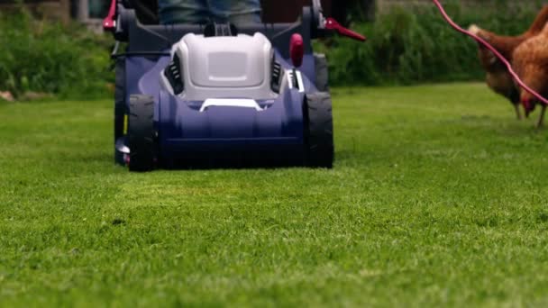 庭の中型ショットスローモーション4Kショット選択的な焦点で芝生を刈るための電気芝刈り機 — ストック動画