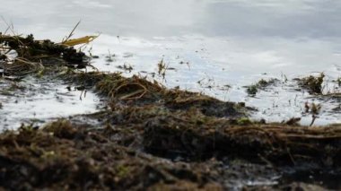 Alacakaranlıkta kumlu bir kıyıda hafif dalgalar. Yaklaş, yavaş çekim seçici odak noktası.