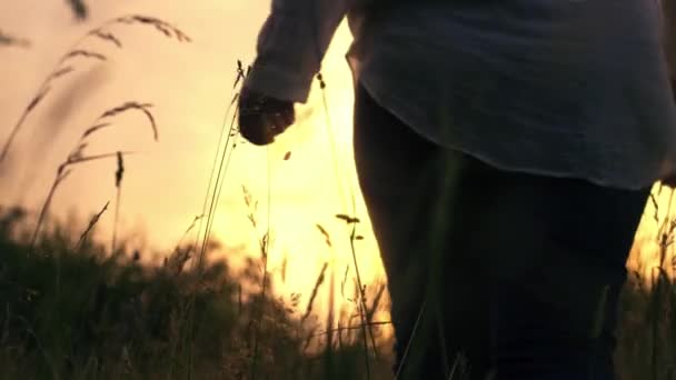 Γυναίκα Απολαμβάνοντας Φύση Πόδια Καλοκαίρι Λιβάδι Ηλιοφάνεια Επιλεκτική Εστίαση — Αρχείο Βίντεο