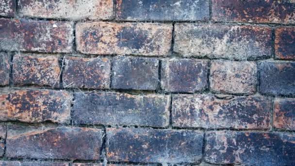 Stare Uszkodzone Grunge Ściany Cegły Średniej Panning Zoom Strzał Selektywny — Wideo stockowe
