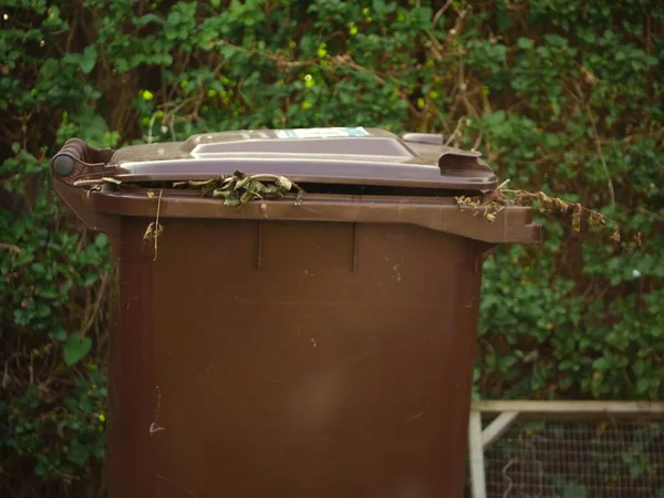 Brown wheelie bin for garden waste wide shot selective focus