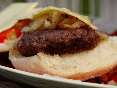 Ev yapımı peynirli burger ve patates kızartması seçici odaklanma için makroyu kapat 