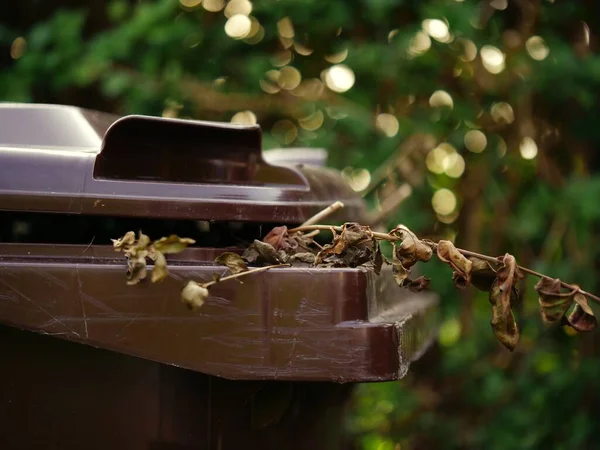 庭の廃棄物の中型ショット選択的な焦点のためのブラウンホイリービン — ストック写真