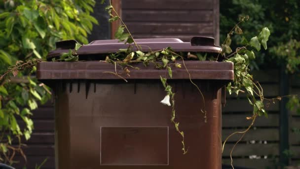 Hnědá Rada Kolečkové Koše Pro Zahradní Odpad Střední Zoom Výstřel — Stock video