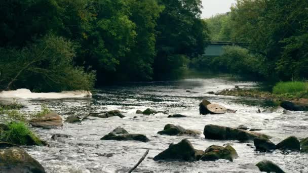 Skały Kamyki Nad Rzeką Szeroko Wody Ustanawiając Powolny Ruch Selektywne — Wideo stockowe