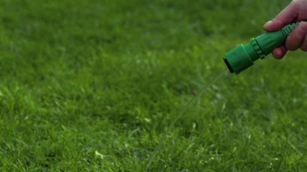 园丁用软管浇灌花园中4K慢动作选择焦点 — 图库视频影像