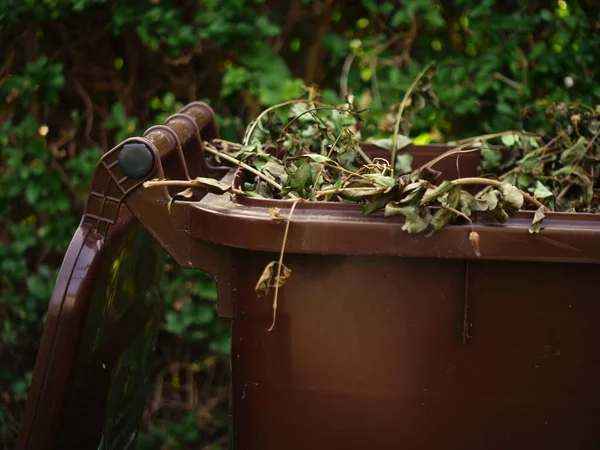 Brown wheelie bin for garden waste medium shot selective focus