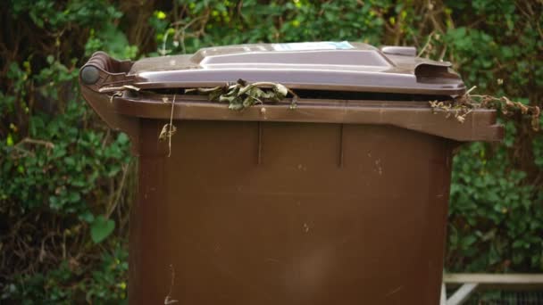 庭の廃棄物媒体4Kパンニングショット選択的な焦点のためのブラウンホイリービン — ストック動画