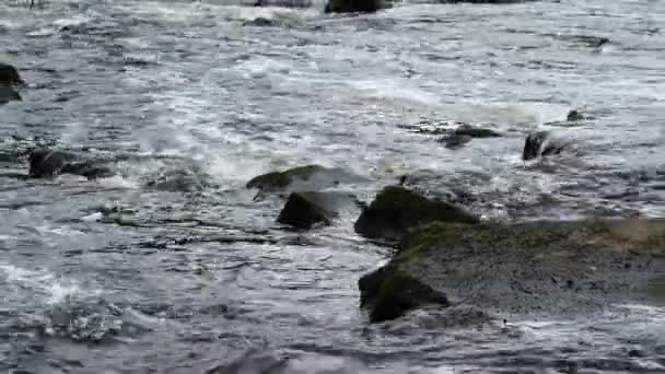 Stenen Steentjes Langs Rivier Water Brede Zoom Slow Motion Selectieve — Stockvideo