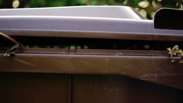 Bahçe Atıkları Için Kahverengi Tekerlekli Çöp Kutusu Pansiyon Seçici Odak — Stok video