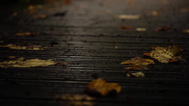 秋の葉は床に落ちました 4K選択的な焦点を閉じます — ストック動画