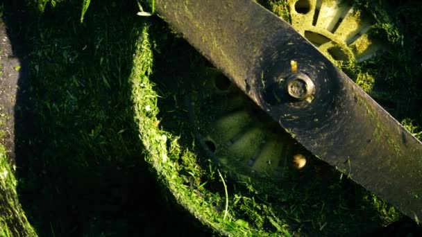 Blades Electric Lawnmower Panning Close Shot Selective Focus — Stock Video