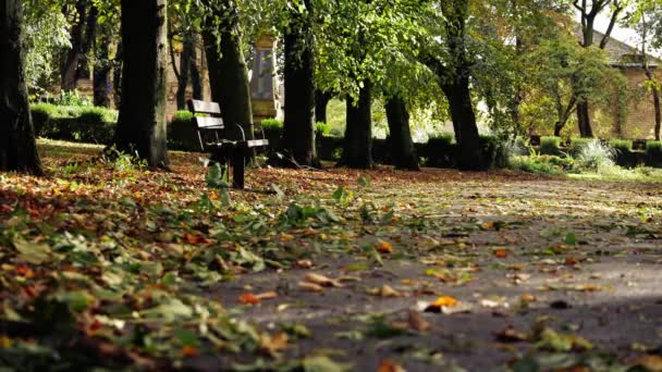 秋公園のロンリーパークベンチ 幅広くショット4K選択焦点を確立 — ストック動画