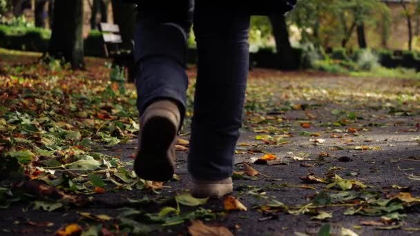 在秋天公园的空旷孤寂的公园里漫步 宽镜头变焦 选择性聚焦 — 图库视频影像
