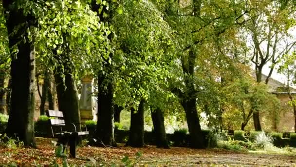 Lonely Park Παγκάκι Στο Πάρκο Φθινόπωρο Ευρύ Καθιερώνει Πυροβόλησε Εστίαση — Αρχείο Βίντεο