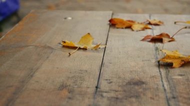 Sonbahar yaprakları düşmüş ahşap masa arkaplanı orta 4k seçici odak noktası