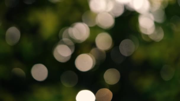 Bokeh Beleuchtet Sonnenlicht Bäumen Defokussierter Zoom Zeitlupe Selektiver Fokus — Stockvideo