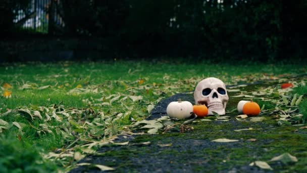 秋のハロウィンカボチャと不気味な頭蓋骨は 広いパンニング4Kショット選択的な焦点を残します — ストック動画