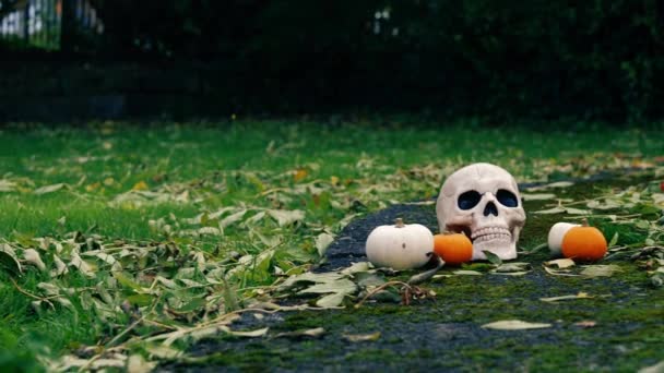 Halloween Dynia Przerażające Czaszki Jesienią Pozostawia Szeroki Panoramiczny Zoom Strzał — Wideo stockowe