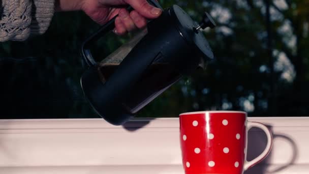Het Maken Van Verse Koffie Cafetiere Thuis Het Venster Medium — Stockvideo