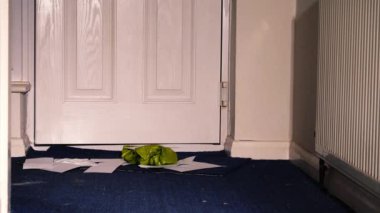 Mektup ve paketlere açılan kapı, 4K seçmeli odak noktasının arkasındaki evde yığılmıştır.