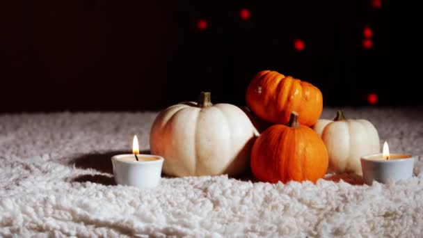Herbst Kürbisse Mit Kerzen Warmen Hintergrund Dolly Slider Medium Shot — Stockvideo