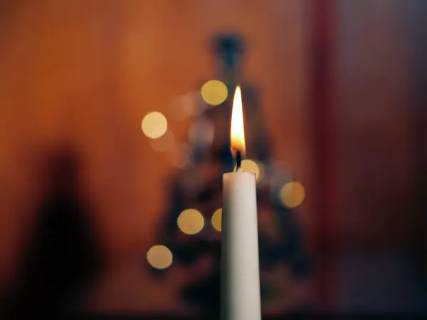 Noel ağacı ile mum bokeh ışık arkaplan ortamı seçici odak