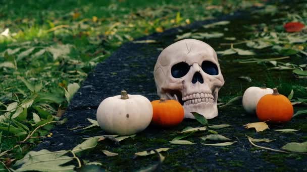 秋のハロウィンカボチャと不気味な頭蓋骨は メディアパンニング4Kショット選択焦点を残します — ストック動画